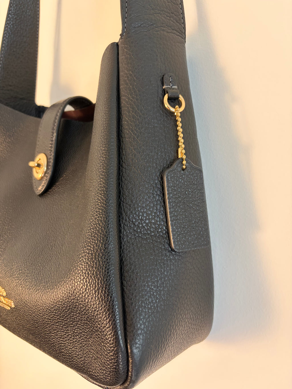 Coach Hadley Crossbody Bag