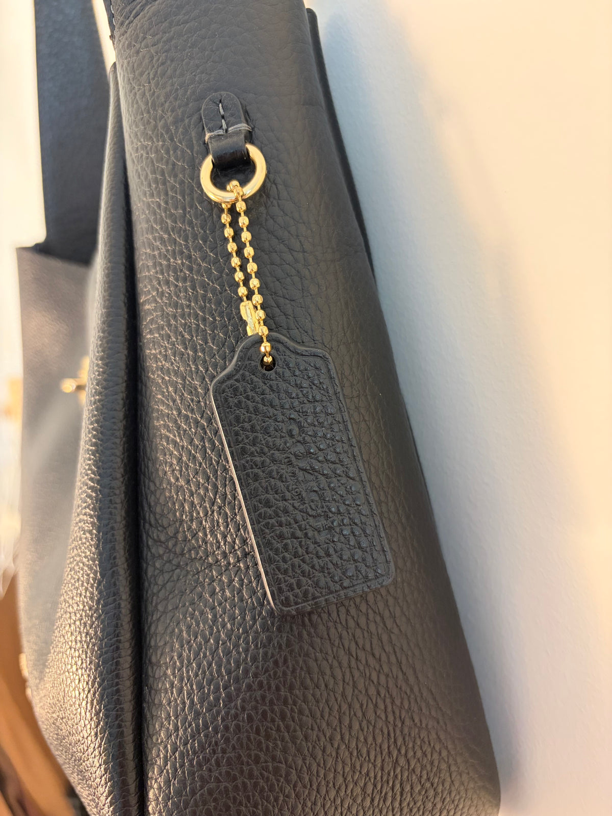 Coach Hadley Crossbody Bag